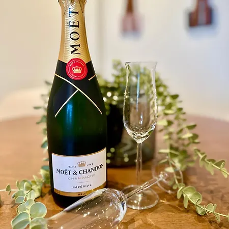 Miami Vice Mit Balkon & Flussblick-das Alpenzeit Im Zentrum Mit Parkplatz Appartamento Bad Aussee